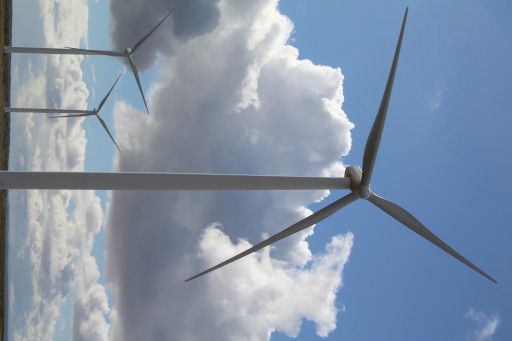 Windmills in a field, 2024