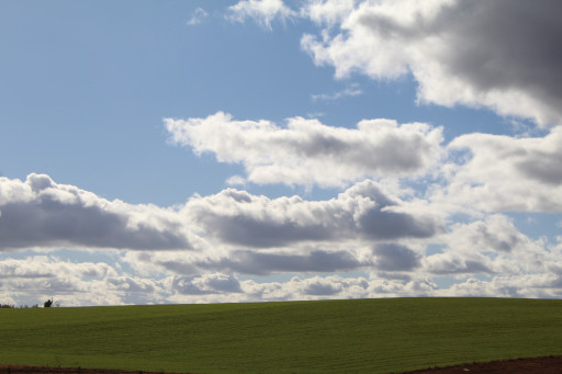 Scenic landscape, 2024
