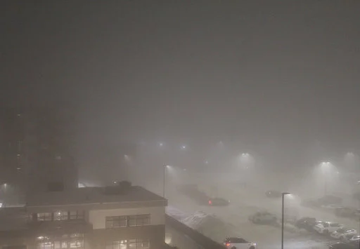 Fog, 2025