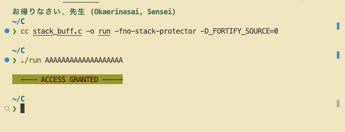 Access granted via overflow