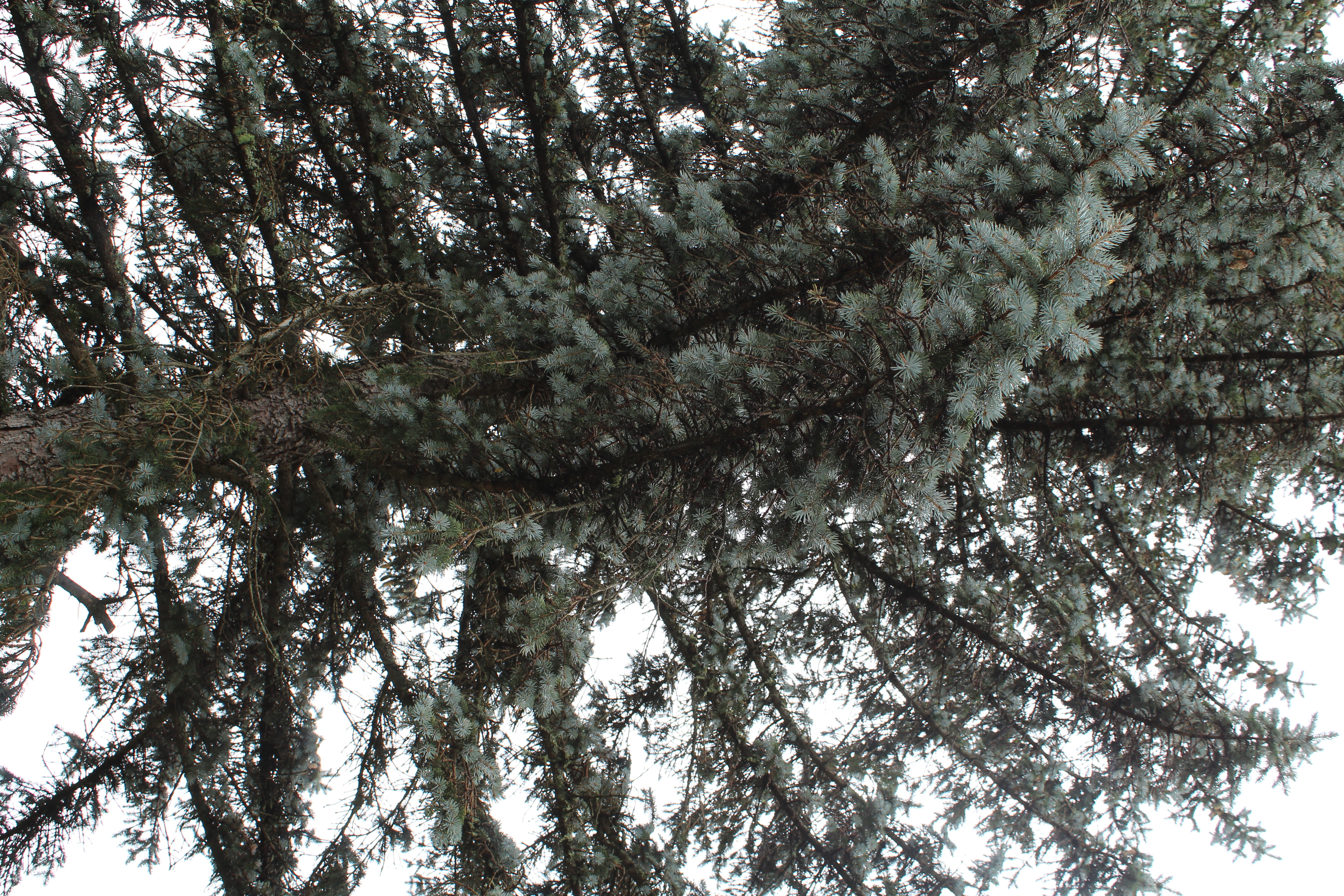 Post-autumn landscape, 2023