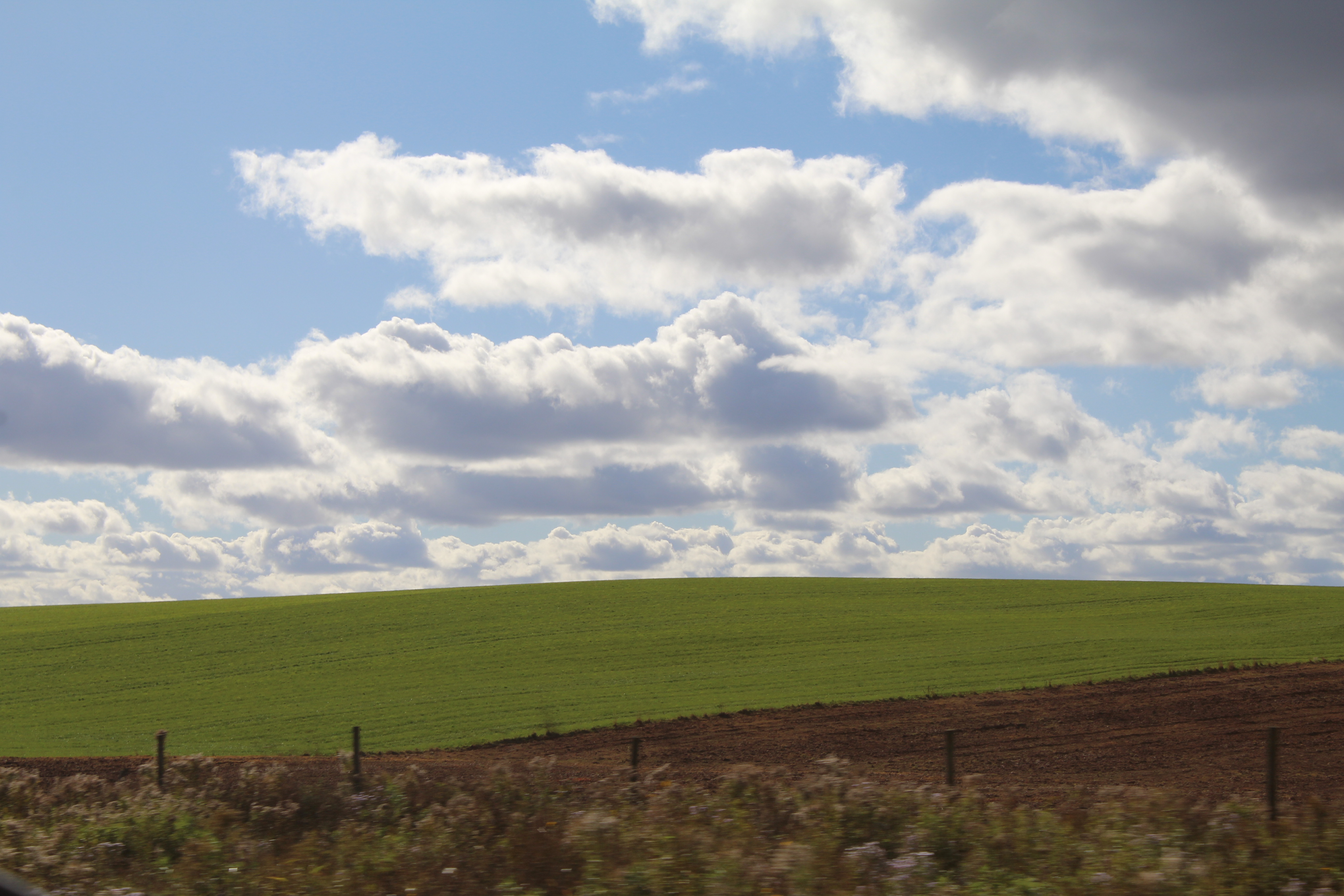 Scenic landscape, 2024