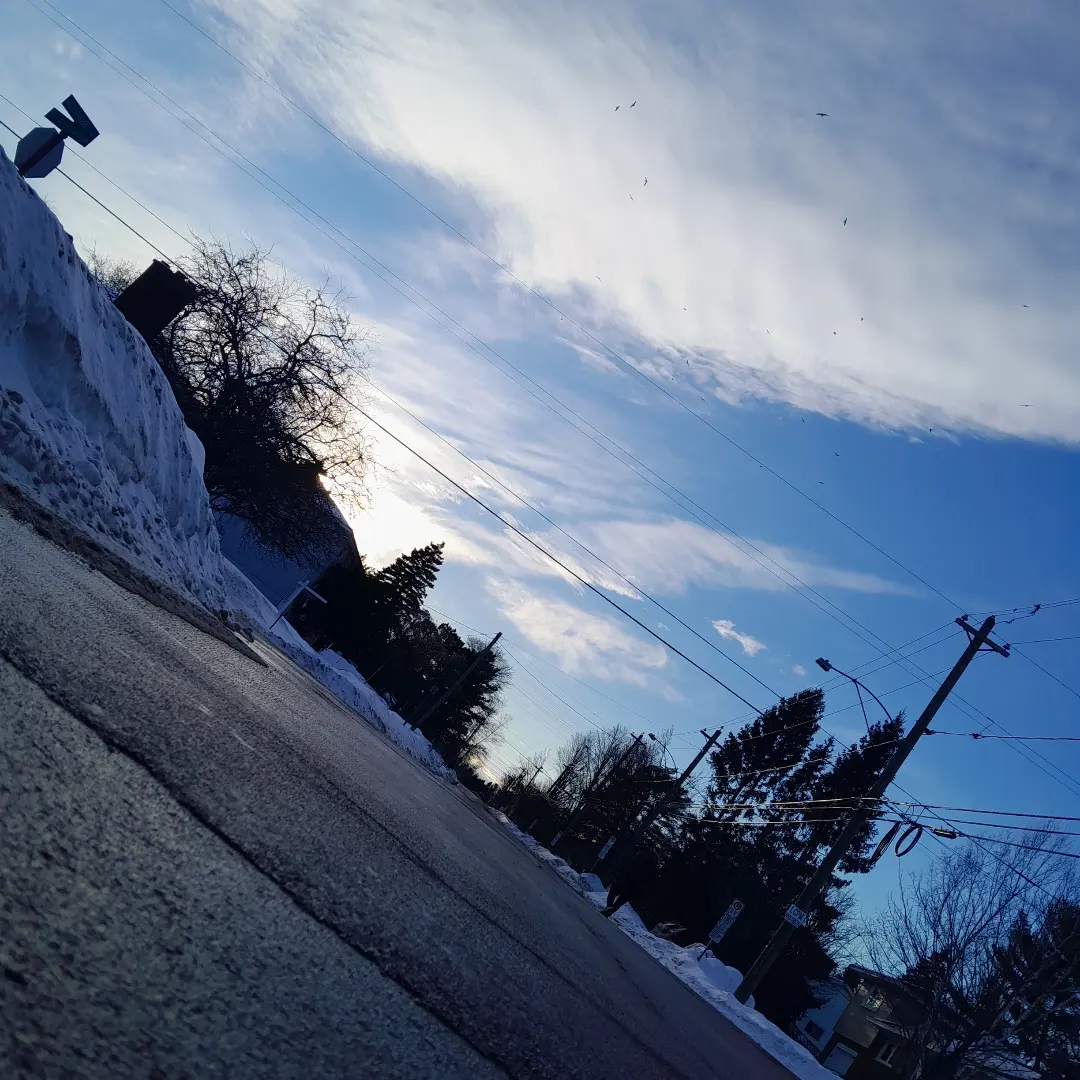 Winter landscape, 2023